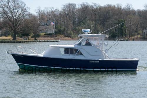 Bertram 31 Express ficha tecnica